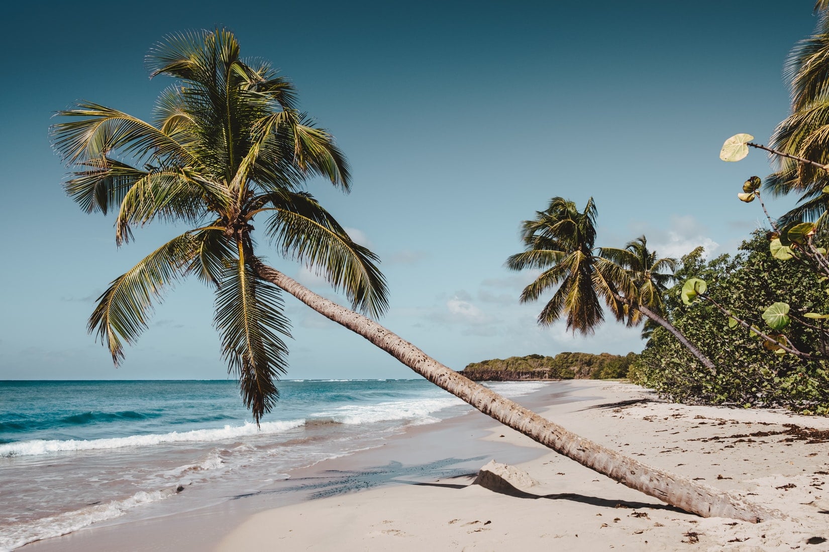 Lire la suite à propos de l’article Opter pour une location de voiture en martinique