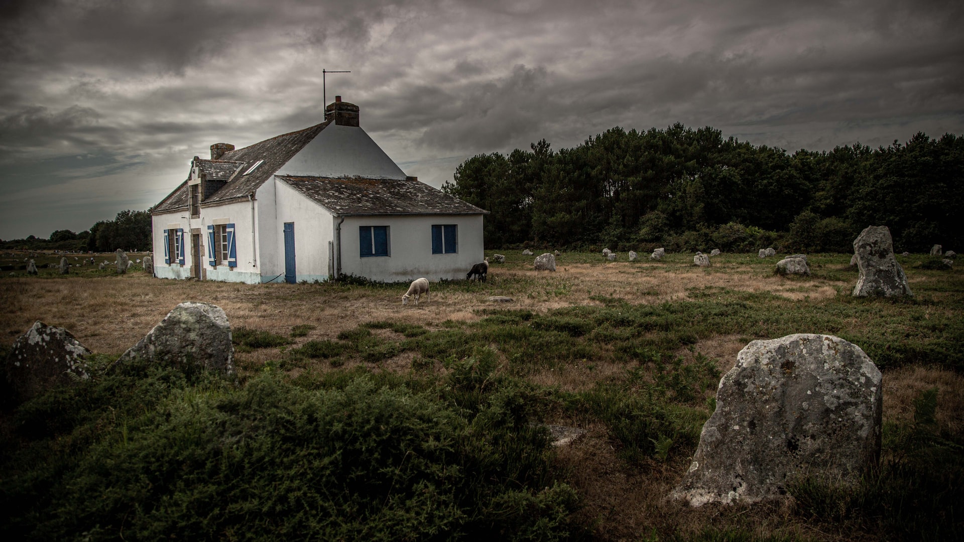 Lire la suite à propos de l’article Les visites à ne pas rater autour de Carnac