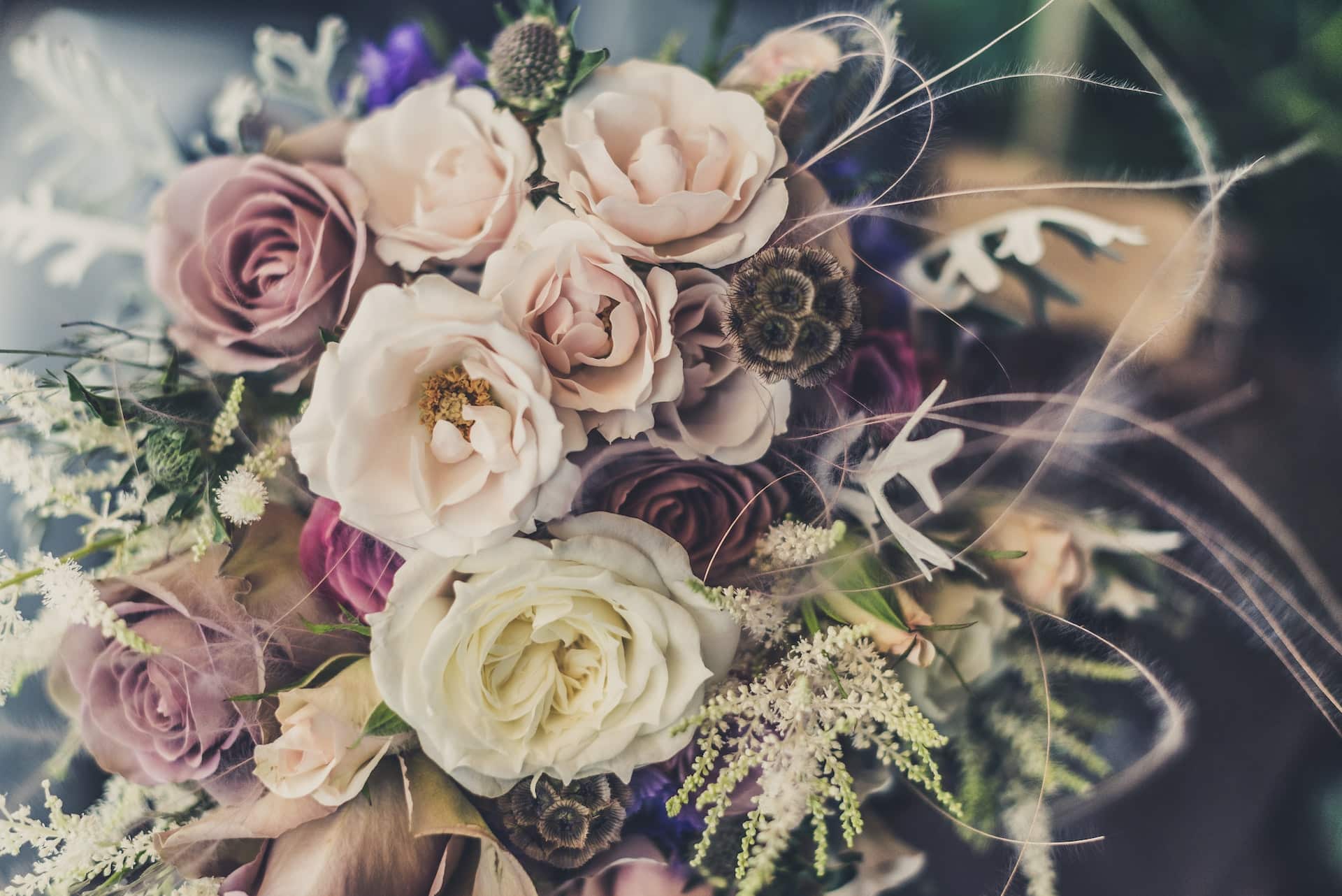 Lire la suite à propos de l’article Obsèques : quelles fleurs présenter à la famille endeuillée ?